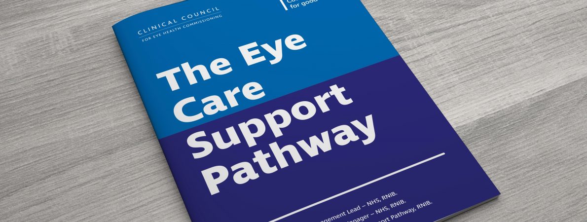 A top angle photo of a blue booklet with the test 'The Eye Care Support Pathway' on a grey background.