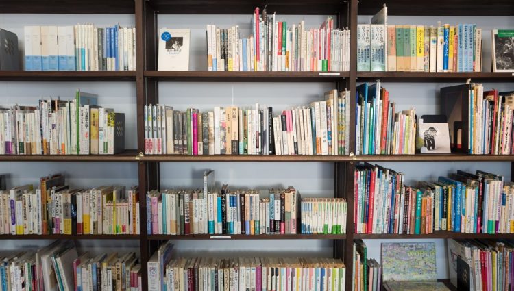 A picture of bookshelf filled with books including fiction. literature and educational material all waiting to be read and enjoyed.